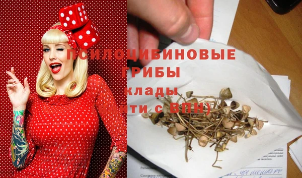 гидропоника Белоозёрский
