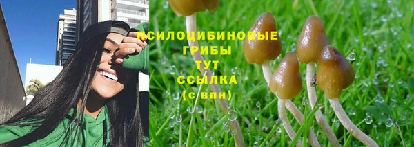 дмт Беломорск